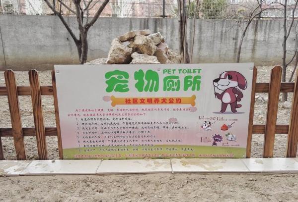 北京：东花市街道设置4座宠物公厕  “汪星人”如厕也文明